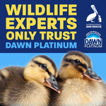 Promotional graphic with two ducklings and headline 'Wildlife experts only trust Dawn Platinum' plus Dawn Platinum logo