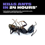 High-contrast image of a dead ant on its back beneath bold text claiming the product kills ants in 24 hours