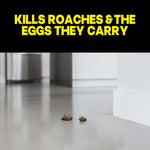 Close-up scene of two dead roaches on a kitchen floor with headline text about killing roaches and their eggs