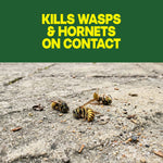 Dead wasps on a concrete surface with bold yellow text above stating kills wasps & hornets on contact