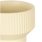 Close-up detail of cream ceramic planter rim and vertical ribbed texture on the exterior surface.