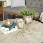 Brushed silver metal planter duo on stands displayed on a wooden coffee table with decor