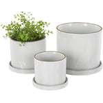 Three white DecMode ceramic planters with subtle grid texture, brown-rimmed tops and matching round saucers, one planted with greenery