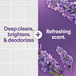 Graphic split image with tiled white surface on left and purple background with lavender sprigs and text about cleaning and scent