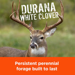 Close-up image of a deer with overlaid text 'Durana White Clover' on a natural blurred background