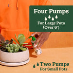 Person using a Miracle-Gro pump bottle to feed succulents with overlay text showing dosing guidance: 'Four Pumps for Large Pots… Two Pumps For Small Pots'.