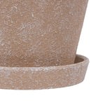 Detail close-up of the textured brown ceramic planter and matching saucer rim.