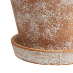 Detail close-up of whitewashed terracotta surface and matching saucer rim of a ceramic planter