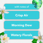 Graphic panels listing fragrance notes: Crisp Air, Morning Dew, Watery Florals with floral accents