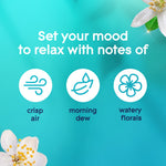 Informational graphic on teal background listing scent notes: crisp air, morning dew, watery florals with simple icons