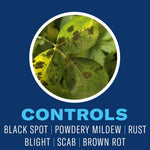 Circular photo of a diseased leaf above bold text 'CONTROLS' with a list of plant diseases on a blue background.