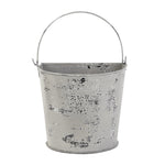 Distressed white-gray metal bucket planter with a curved handle on a white background