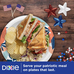Styled overhead plate with sandwich and chips on a Dixie patterned paper plate with patriotic decor on a wood surface.