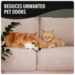 A dog and a cat resting on a beige sofa with headline text stating reduction of unwanted pet odors