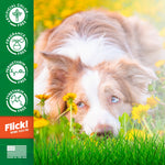 Close-up of a dog lying in grass with green sidebar icons stating artificial color, fragrance, permethrin, pyrethrin free