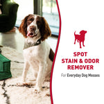 Lifestyle panel with a dog sitting indoors and text 'Spot Stain & Odor Remover For Everyday Dog Messes'