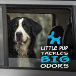 Large dog looking out car window with Little Pup balloon-dog graphic and text 'Little Pup tackles big odors'