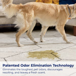 Dog walking past a carpet stain with overlay text about patented odor elimination technology