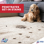 Lifestyle image of a dog sitting beside a soiled carpet with text panel reading Penetrates Set-In Stains