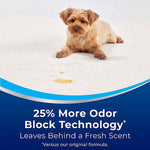 Small dog sitting on a light carpet with a visible yellow stain and blue graphic text about odor block technology