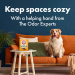 Living room scene with a dog on an orange sofa and an Arm & Hammer baking soda box on a side table, ad text above