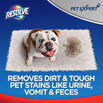 Top-down view of a small dog sitting on a shag rug next to a dirty stain with Resolve branding and product claims