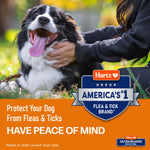 Smiling black and white dog being petted outdoors with Hartz badge and “America’s #1 Flea & Tick Brand” banner