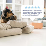 Small dog on cushions beside a speech-bubble customer review graphic praising Febreze scent
