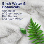 Close-up textured blanket and fern leaf with text describing Birch Water & Botanicals scent notes