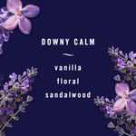 Dark purple layout with lavender illustrations and text listing scent notes: 'vanilla floral sandalwood' for Downy Calm.