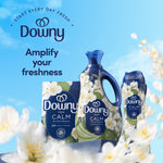 Product group image featuring Downy Fresh Calm bottles and sheets with brand logo and text 'Amplify your freshness'.
