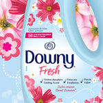 Close-up of a Downy Fresh label with floral artwork and brand name, showing small loads callout.