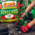Close lifestyle image of Dr. Earth Rose & Flower fertilizer bag beside hands planting a rose, showing glove and soil detail