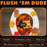 Toilet bowl filled with autumn leaves and mini pumpkins, a DUDE WIPES DUMPkin spice pouch visible inside and headline text above.