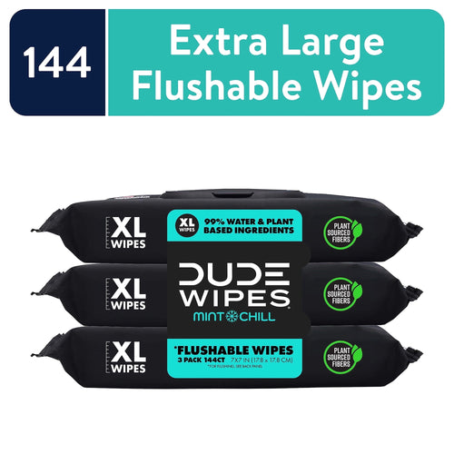 Three stacked black DUDE Wipes Mint Chill packages with teal label touting XL flushable wipes and 144 count banner