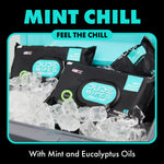 DUDE Wipes Mint Chill packages arranged on ice with large 'MINT CHILL' header and product branding