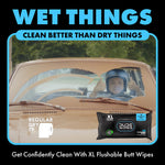 Promotional graphic with vintage car windshield scene and a DUDE Wipes packet, headline 'WET THINGS' and product benefit text