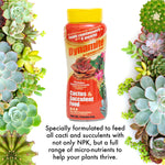 Dynamite Cactus & Succulent Food bottle centered with succulent arrangements flanking both sides on white background