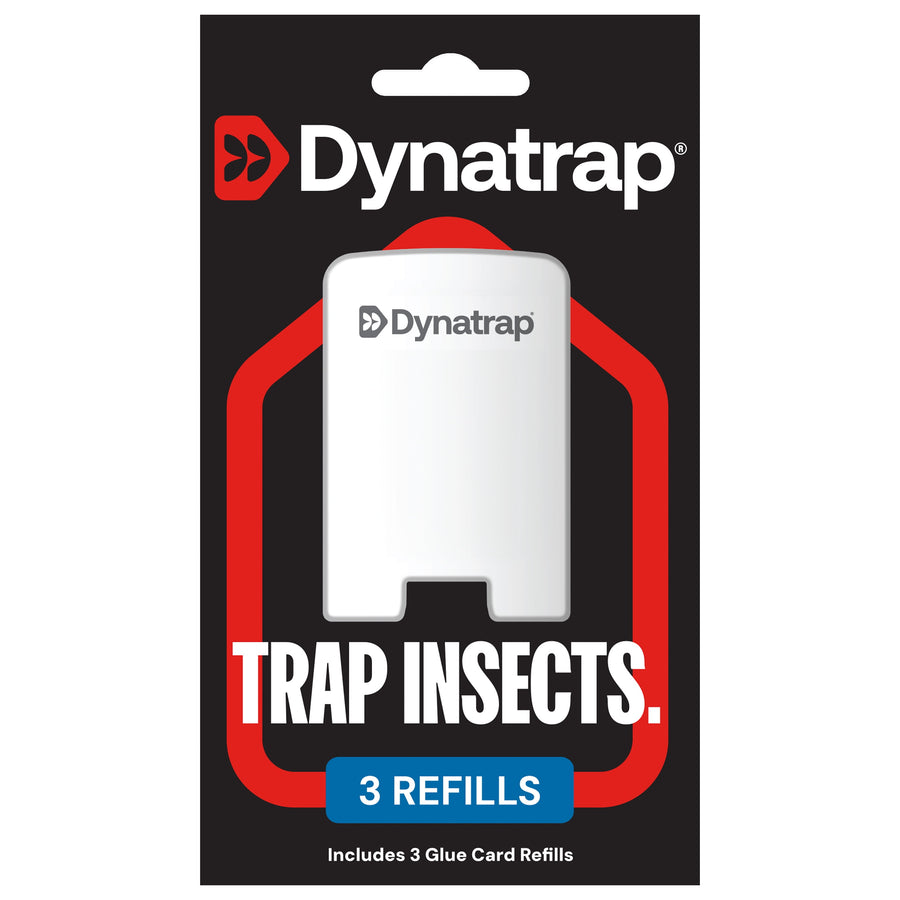 Black retail blister card showing Dynatrap branding and a white glue-card refill with “3 refills” callout