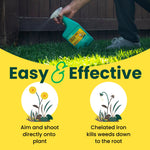 Lifestyle image of a hand aiming a bottle of Sunday Dandelion Doom at lawn, with yellow panel and icons explaining application and iron action.