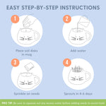 Step-by-step illustrated infographic showing four circular icons: place soil disk, add water, sprinkle seeds, sprouts in 4–6 days with brief tips.