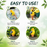 Step-by-step infographic with four circular photos demonstrating soaking, filling, inserting and checking a bird-shaped terracotta watering spike