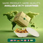 Eco Soul cardboard shipping box hovering above a compostable bowl of nachos with flags indicating international availability