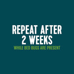Teal square graphic with bold white text ‘Repeat after 2 weeks while bed bugs are present’ on a plain background