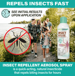 Group hiking scene with EcoSmart insect repellent image and a crossed-out mosquito symbol
