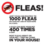 Informational panel with large text warnings about fleas, numeric claims about flea multiplication and a crossed-out flea icon.