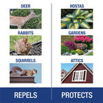 Grid of six photos and labels showing animals and protected areas: deer, rabbits, squirrels, hostas, gardens and attics