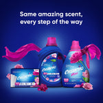 Assortment of Ensueño branded laundry products on a blue background with headline 'Same amazing scent, every step of the way.'
