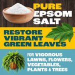 Graphic layout with wooden bowl of white Epsom salt, leaf illustration and bold text promoting vibrant green leaves