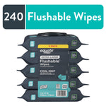 Stacked five-pack of Equate Extra Large Flushable Cool Mint wipes with a teal banner reading 240 Flushable Wipes above.
